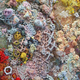 Illustration for article titled Artist “Nanofactures” Paintings Using a 3D Printer and Molecular Modelling Software